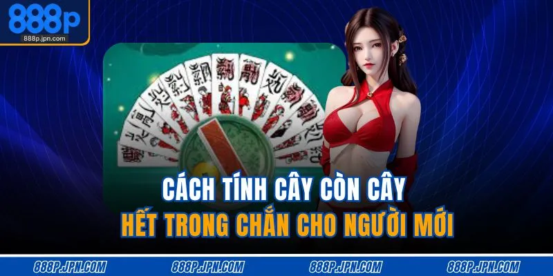 cach-tinh-cay-con-cay-het-trong-chan-cho-nguoi-moi