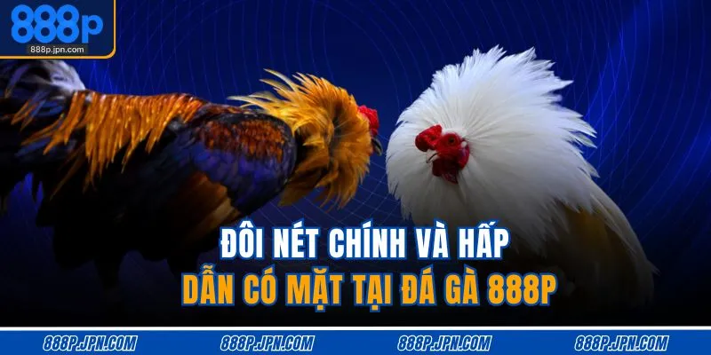 Đôi nét chính và hấp dẫn có mặt tại đá gà 888P