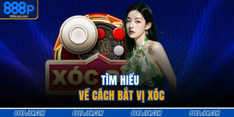 Tìm hiểu về cách bắt vị xóc