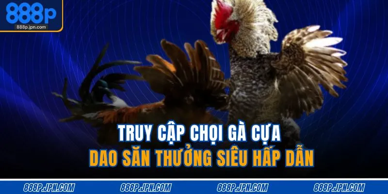 Truy cập chọi gà cựa dao săn thưởng siêu hấp dẫn